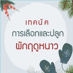 เมล็ดพันธุ์ผักฤดูหนาว