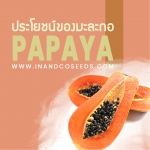 ประโยชน์มะละกอ